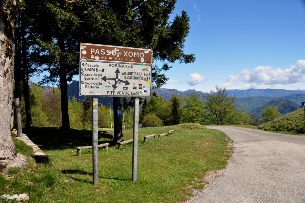 Posina